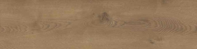 06385bd21e5e11aa0949053530454a23