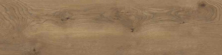 2db6bcb0175fc1a033ae9a0a0f46a0ea