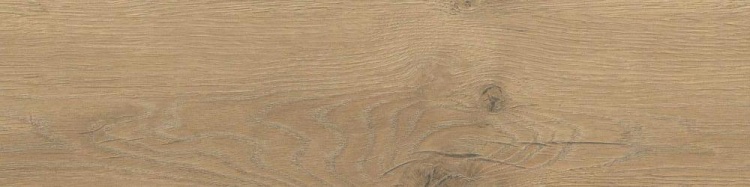 14773eb29f834702ebdd460ddd383129