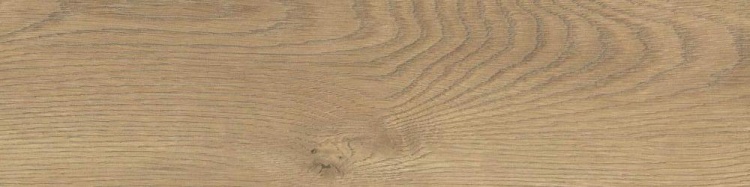 e5899d93b1ab47ea4dee1c229b6b8307