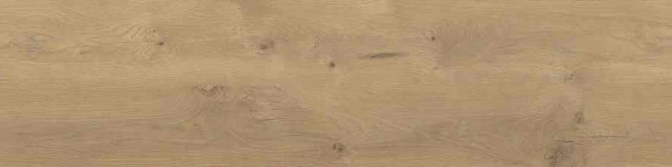 f9985498b52f720997a500ae1d4cabf0