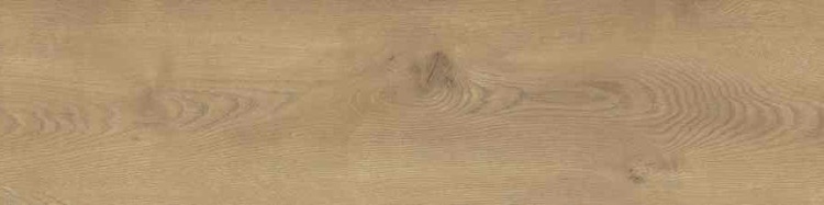 b230cab2e23a3dbc75e842b37789f5c2