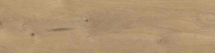 16716b951223bfac4a5e44edc2c60330