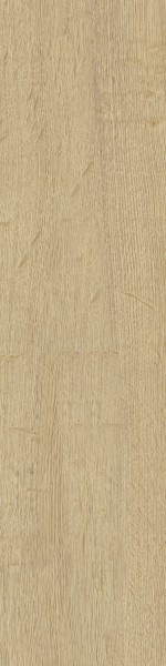 6b96f899dcea339abbe3e803a6e90b65