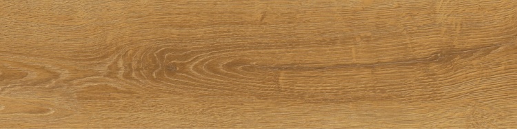 4ce96fc4649129e45fc4855a2e483610