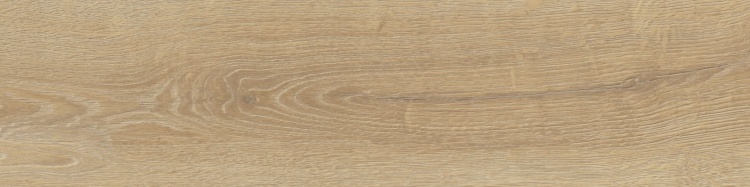 911d0a2e857e0b469defca6c5e880899