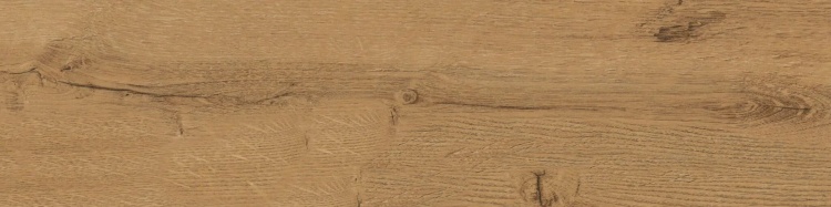 fdcf0c7e61a184e88876521ee392d6fe