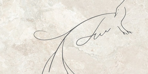 8c8f83d64231830a33fa998bc9e13321