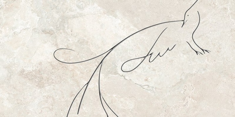 8c8f83d64231830a33fa998bc9e13321