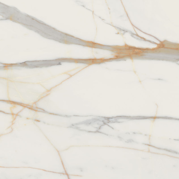 f02bda54abca6e37cc95e69f03df5844