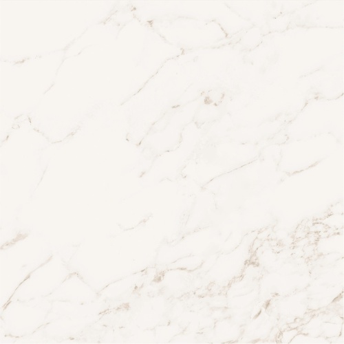 b716778f83c63374b2026d1e79751ee0