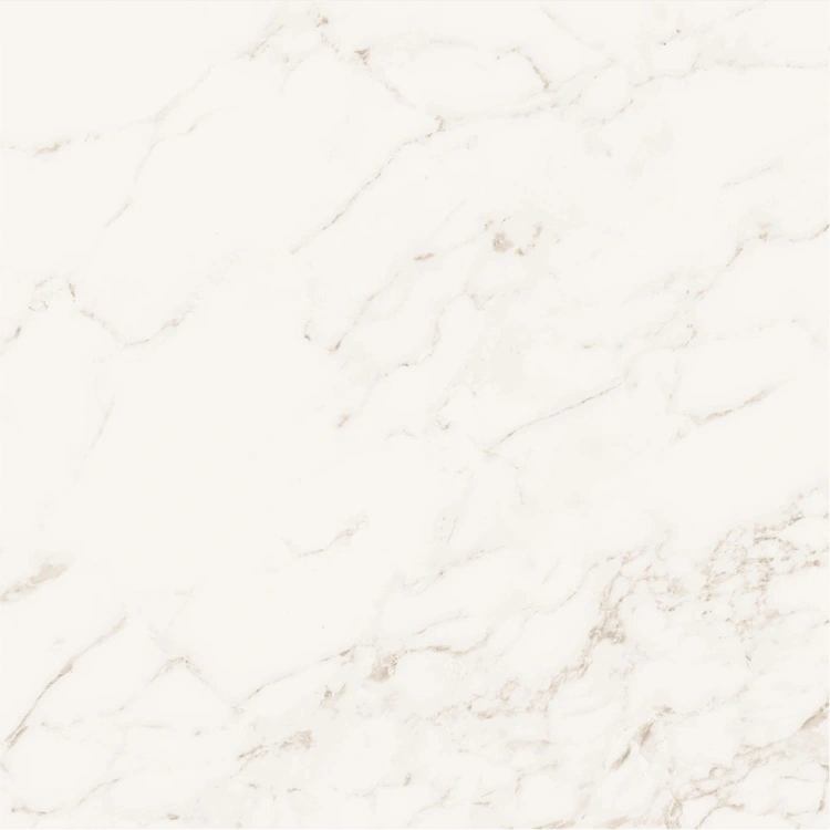 b716778f83c63374b2026d1e79751ee0