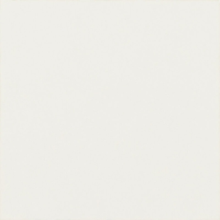 Paradyż MODERN BIANCO TACO MAT. 4,8X4,8  BudoHurt.com Łódź.jpg