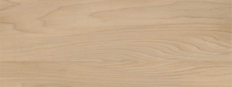 Tubądzin PURE WOOD BEIGE 32,8X89,8  BudoHurt.com Łódź.jpg