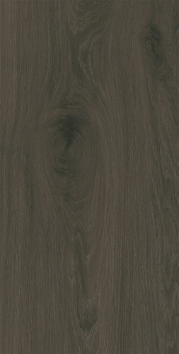 Domino Pietra Aurea wood 30,8x60,8 BudoHurt.com Łódź.jpg