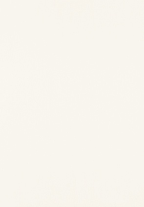 Domino Fiesta biała 25x36 BudoHurt.com Łódź.jpg