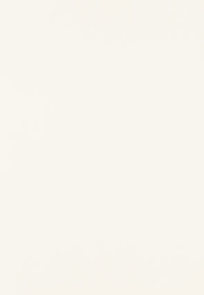 Domino Fiesta biała 25x36 BudoHurt.com Łódź.jpg