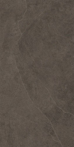 Domino Linva brown 30,8x60,8  BudoHurt.com Łódź.jpg