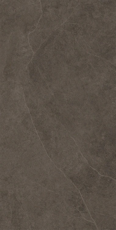 Domino Linva brown 30,8x60,8  BudoHurt.com Łódź.jpg