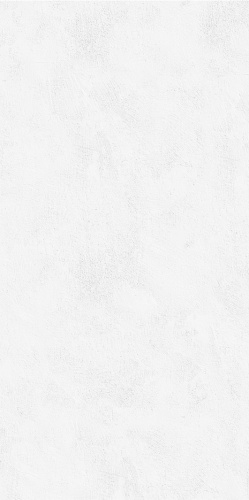 Tubądzin Echo Brush silver STR 59,8x119,8 BudoHurt.com Łódź.jpg