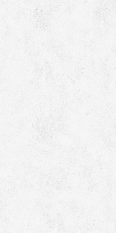 Tubądzin Echo Brush silver STR 59,8x119,8 BudoHurt.com Łódź.jpg