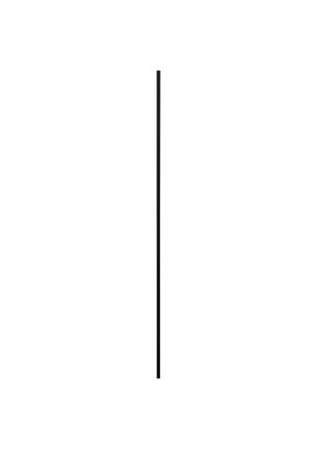 AM38195060.jpg